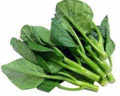 Kale Brassica oleracea seeds for garden planting